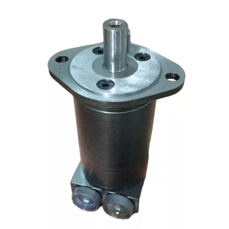 50 RPM Low-Speed ​​High-Torsi Hidrolik Motors