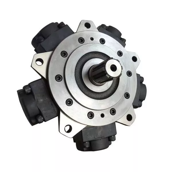 Offshore Hydraulic Motors